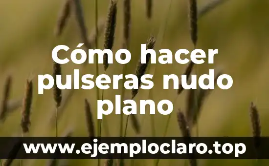 El Misterio del Nudo de la Muerte 6 Cómo hacer pulseras nudo plano