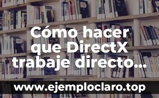 Interfaz Gráfica de Excel: La Puerta de Entrada a Tus Datos 4 Cómo hacer que DirectX trabaje directo con la tarjeta gráfica