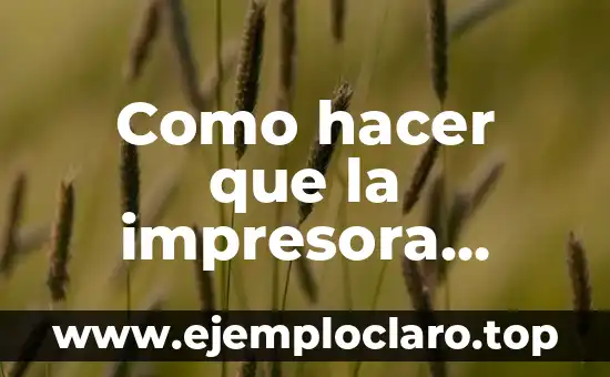 Significado del Desgaste en el Sistema de Frenos 5 Como hacer que la impresora absorba tinta del sistema
