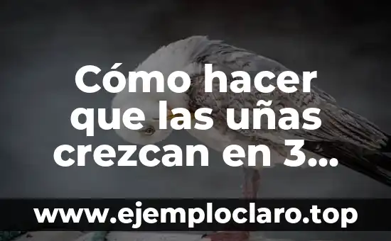 Cómo hacer que las uñas crezcan en 3 días