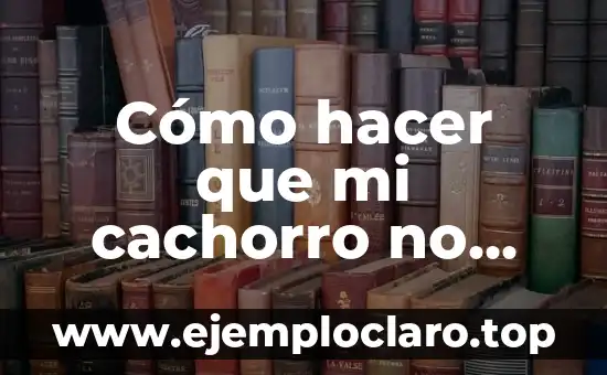 Cómo hacer que mi cachorro no sea agresivo
