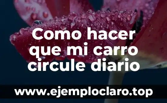 Cómo hacer la puerta de mi casa sin ser carpintero 6 Como hacer que mi carro circule diario