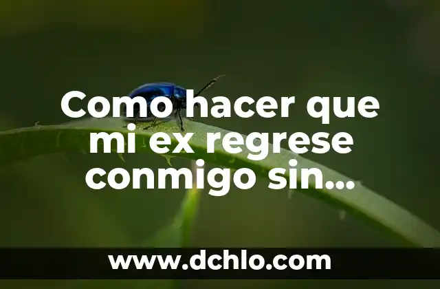 Ex Novia de Carlo Costanzia Nombre - Descubre la Verdadera Identidad 3 Como hacer que mi ex regrese conmigo sin rogarle