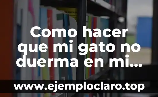 Cómo hacer dientes que se vean reales 7 Como hacer que mi gato no duerma en mi cama
