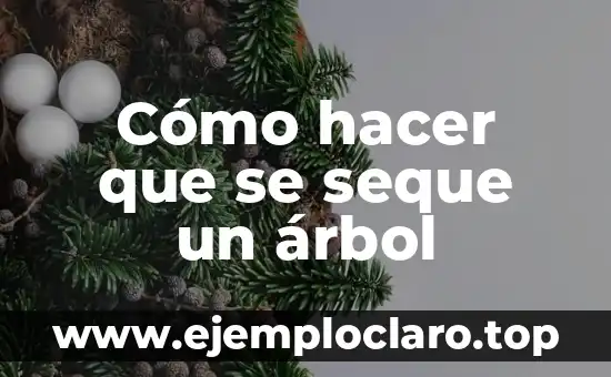 Cómo hacer que se seque un árbol