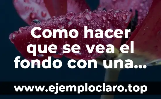 Fondo de Agua y su Significado: Guía Completa 7 Como hacer que se vea el fondo con una imagen