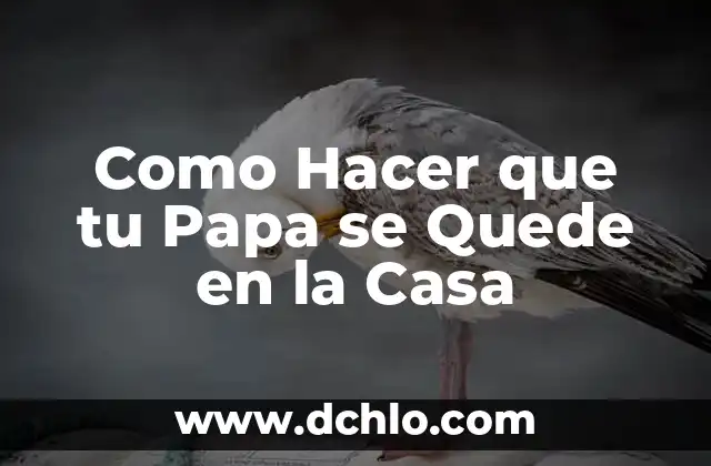 Cómo hacer un jardín en mi casa 7 Como Hacer que tu Papa se Quede en la Casa