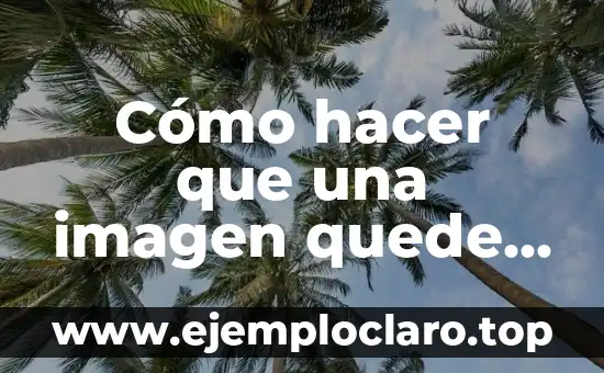 Fondo de Agua y su Significado: Guía Completa 5 Cómo hacer que una imagen quede sin fondo