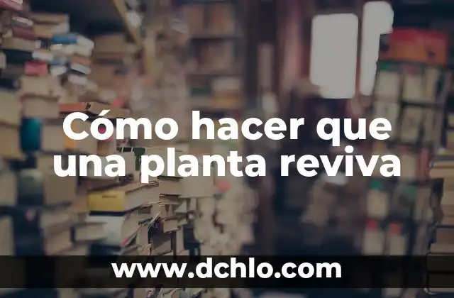 Planta Lazos de Amor, un Símbolo de Devoción 4 Cómo hacer que una planta reviva