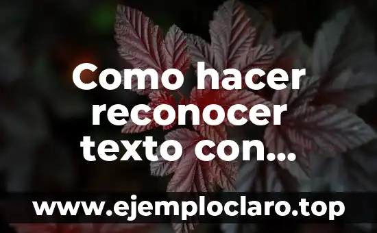 Como hacer reconocer texto con fuente desconocida en Word