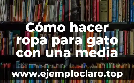 Cómo hacer ropa para gato con una media