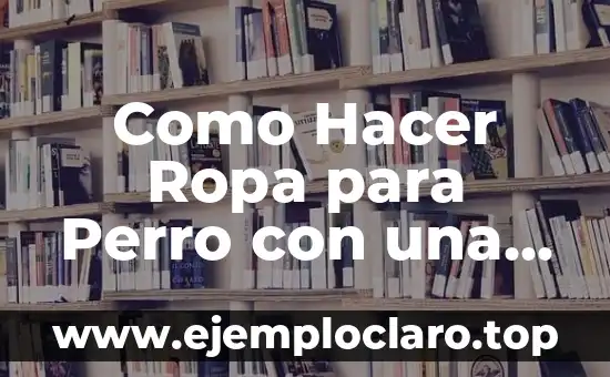 Como Hacer Ropa para Perro con una Remera