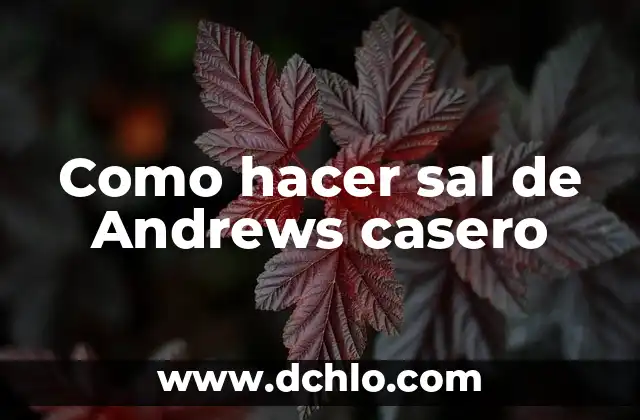 Como hacer flor con limpiapipas 6 Como hacer sal de Andrews casero