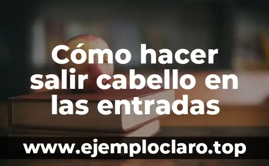 Cómo Hacer Entradas para Horas de Almuerzo Platos de Comida 3 Cómo hacer salir cabello en las entradas