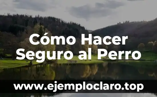 Cómo Hacer Seguro al Perro