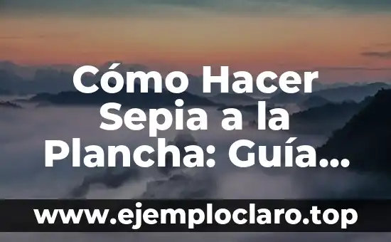 Cómo Planchar el Pelo Sin Plancha: Consejos y Técnicas Alternativas 3 Cómo Hacer Sepia a la Plancha: Guía Detallada y Práctica