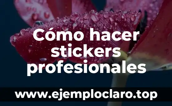 Significado de Stickers 4 Cómo hacer stickers profesionales