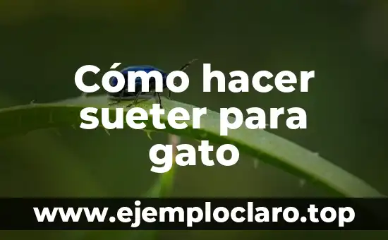 Cómo hacer sueter para gato
