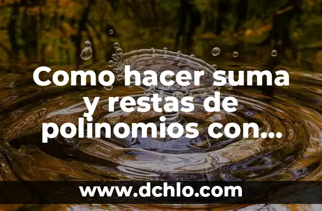 Introducción al Concepto de Polinomios de una Variable 3 Como hacer suma y restas de polinomios con fracciones