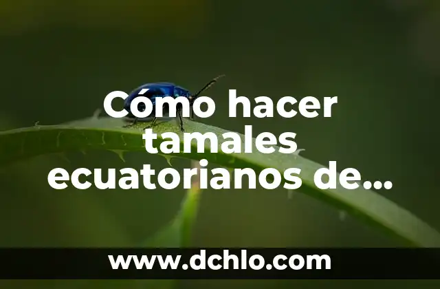 Como hacer pepita 3 Cómo hacer tamales ecuatorianos de pollo