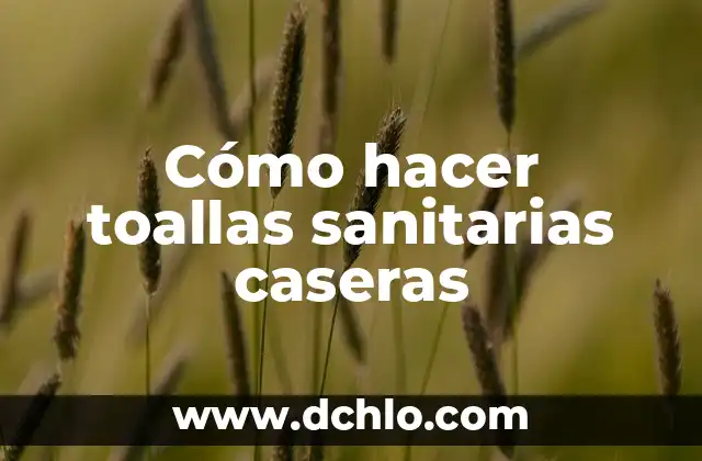C贸mo hacer croquis de planta e instalaciones sanitarias a escala 3 C贸mo hacer toallas sanitarias caseras