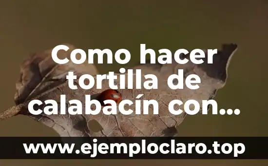 Como hacer tortilla de calabacín con cebolla