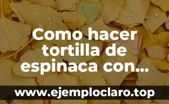 Como Hacer la Tortilla de Papa 3 Como hacer tortilla de espinaca con huevo