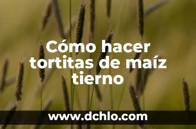 Cómo hacer chipa de almidón y harina de maíz 3 Cómo hacer tortitas de maíz tierno