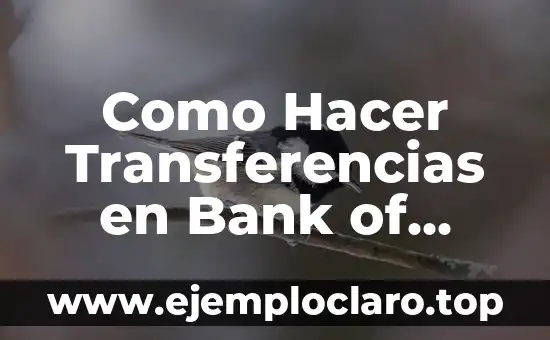 Cómo hacer una fuente APA 8 Como Hacer Transferencias en Bank of America