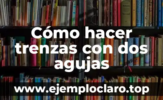Cómo hacer trenzas con dos agujas