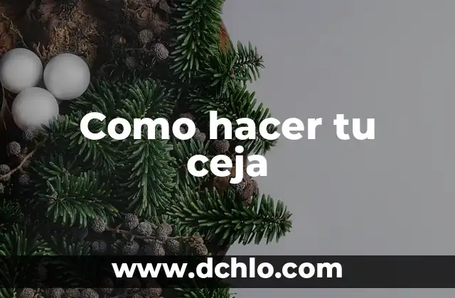Significado de Soñar Buscando Tu Ataud 7 Como hacer tu ceja