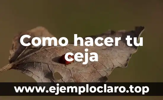 Como hacer tu ceja
