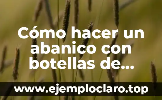Cómo hacer un abanico tricolor 5 Cómo hacer un abanico con botellas de plástico