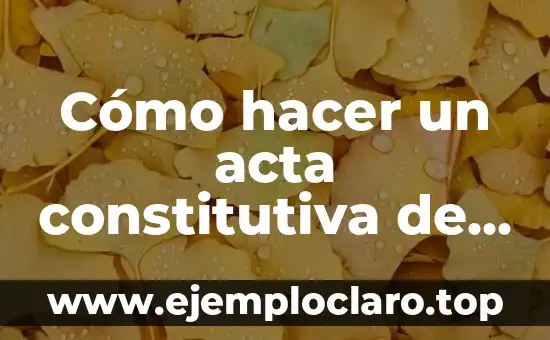 Cómo hacer un acta constitutiva de una sociedad civil