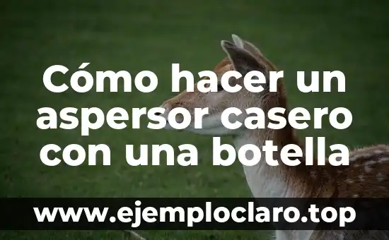 Significado de la Dureza de una Botella 7 Cómo hacer un aspersor casero con una botella