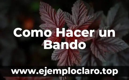 Como hacer faroles navideños con botellas plásticas paso a paso 6 Como Hacer un Bando