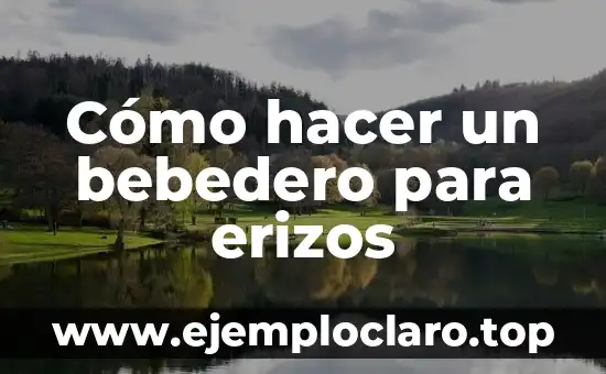 Cómo hacer a Springtrap 4 Cómo hacer un bebedero para erizos