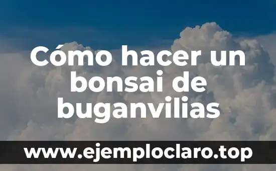Cómo hacer un bonsai de buganvilias