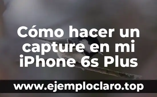 Cómo hacer un jailbreak al iPhone 7 Plus 3 Cómo hacer un capture en mi iPhone 6s Plus