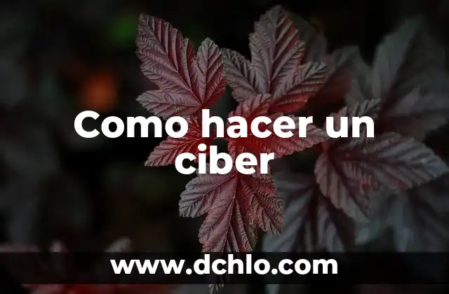 Cómo hacer definición correctamente 5 Como hacer un ciber