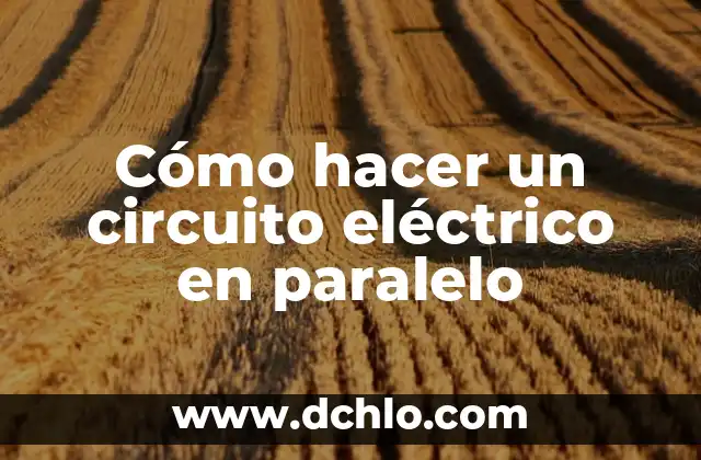 Cómo hacer muebles de concreto en huecos de ladrillo 5 Cómo hacer un circuito eléctrico en paralelo