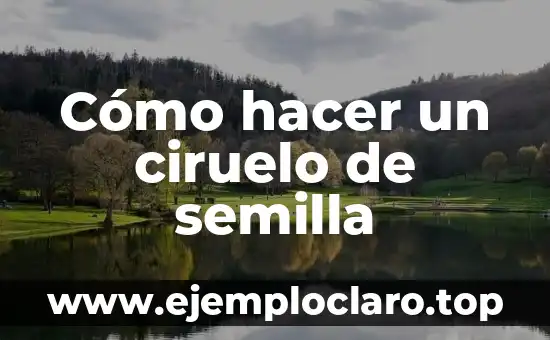 Significado de Semilla de una Flor 6 Cómo hacer un ciruelo de semilla