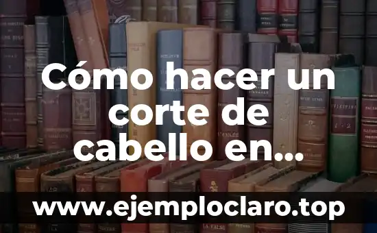 C贸mo hacer 2 capas distintas en Flash Professional CS6 4 C贸mo hacer un corte de cabello en capas