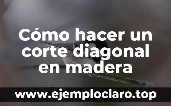 Suprema Corte de Justicia significado 7 Cómo hacer un corte diagonal en madera