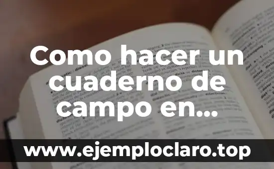 Significado del Sistema de Educación Nacional 7 Como hacer un cuaderno de campo en educación