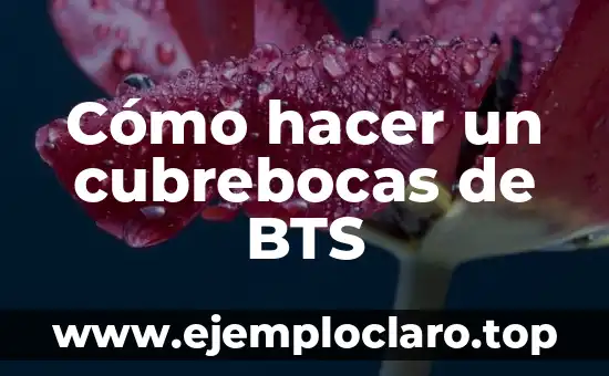Fotos Conceptuales de BTS: Un Viaje al Mundo de los Conceptos 6 Cómo hacer un cubrebocas de BTS