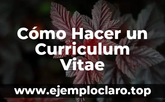 Cómo Hacer un Curriculum Vitae