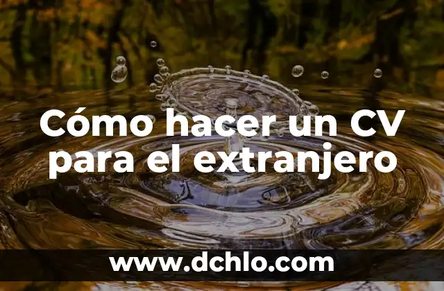 Cómo hacer muebles de concreto en huecos de ladrillo 7 Cómo hacer un CV para el extranjero
