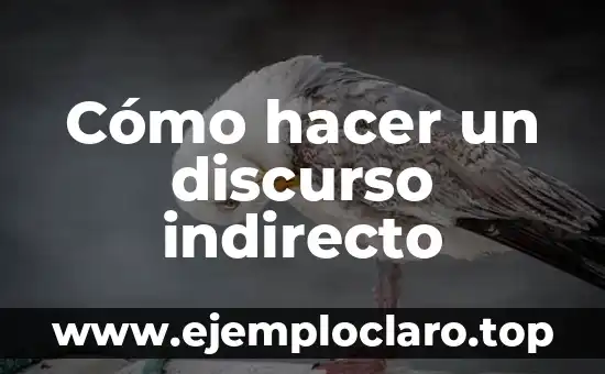 Intención de Ingreso Indirecto: Un Enfoque Estratégico para la Rentabilidad 4 Cómo hacer un discurso indirecto