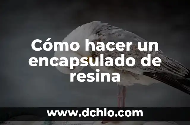 Cómo Reparar un Plato de Ducha de Resina: Guía Detallada y Paso a Paso 3 Cómo hacer un encapsulado de resina